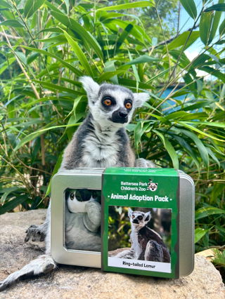 Lemur