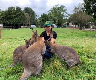 Feed the wallabies at Battersea Park Zoo Keeper Experience