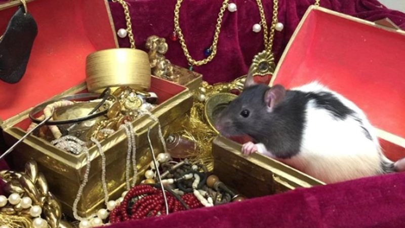 Screenshot 2023 08 02 At 10.11.19