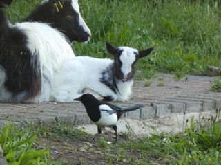Image00045