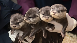 Screenshot 2023 08 02 At 09.43.16