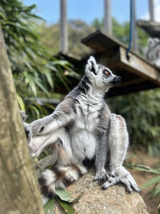 Image00006