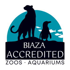 BIAZA Accreditation Logo Outline FOR MEMBER