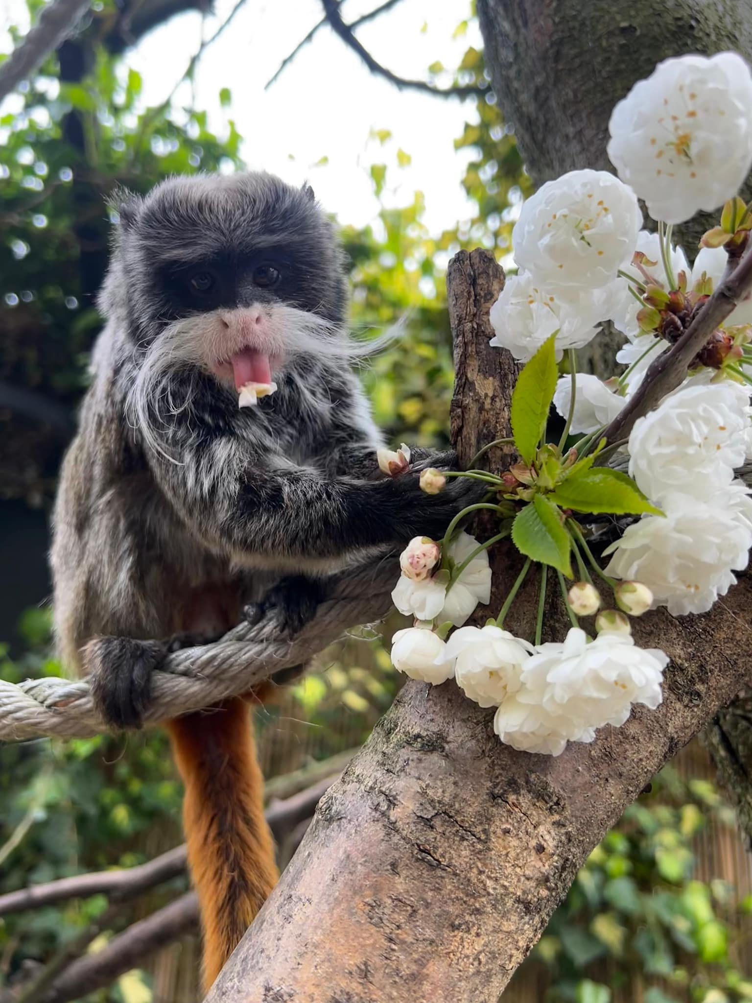 434847883 940391098086354 140103790798722188 N