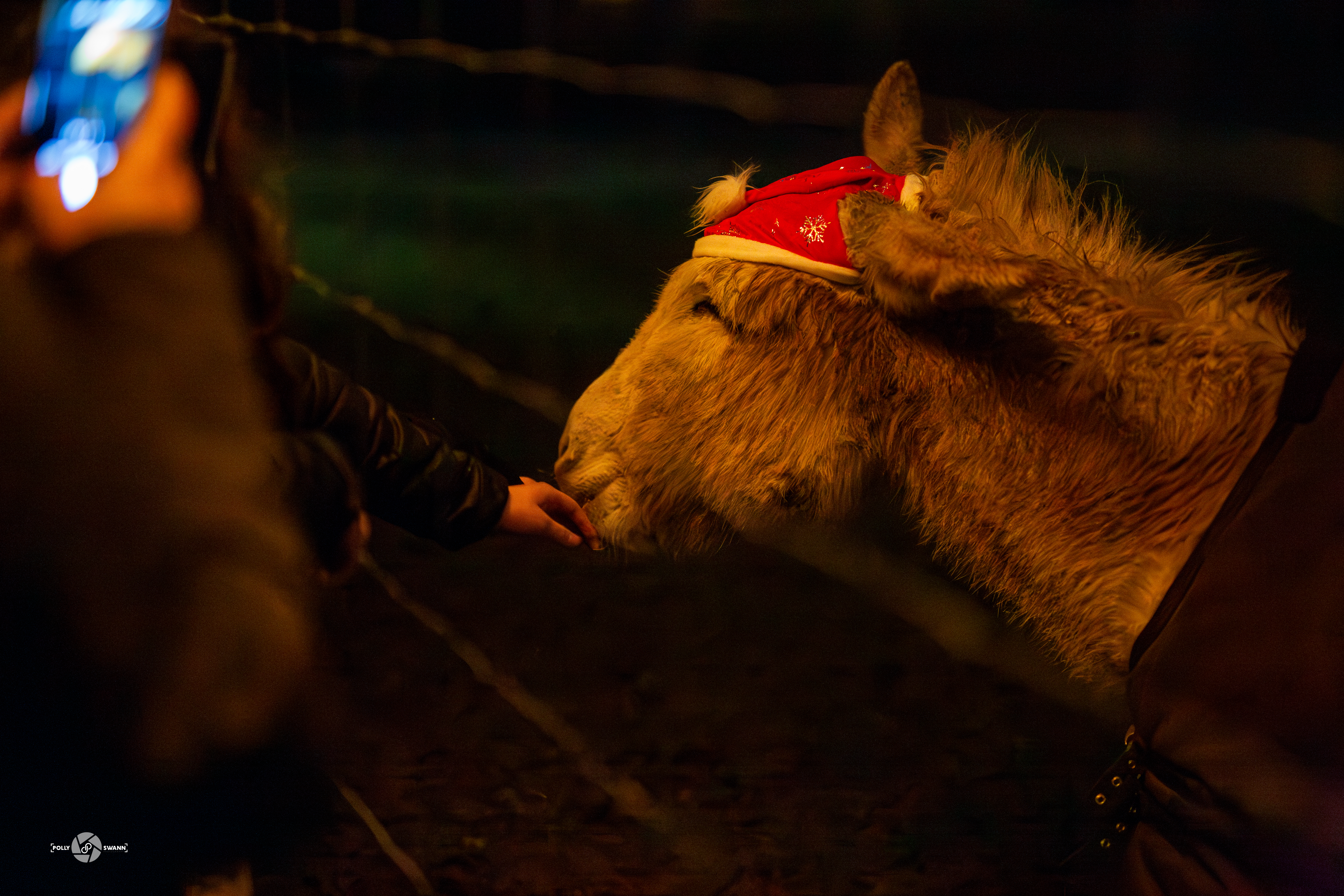 Battersea Park Childrens Zoo Winter Nights 2024 27