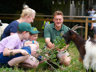 Battersea Park Childrens Zoo – Top Family Day Out in London Battersea Park Childrens Zoo – Top Family Day Out in London