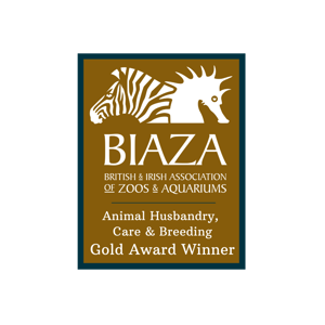 Animal Husbandry Gold 2023