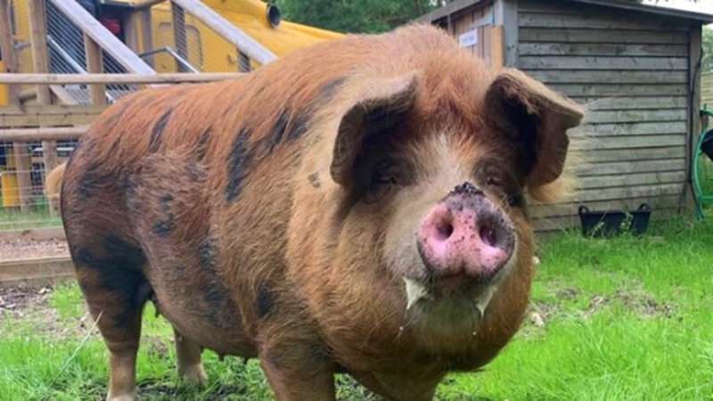 Screenshot 2023 08 02 At 10.11.03