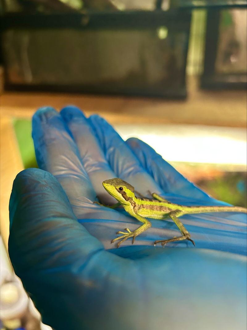 Processed 728EA9C1 DC01 4E57 9361 9C67DF24A143