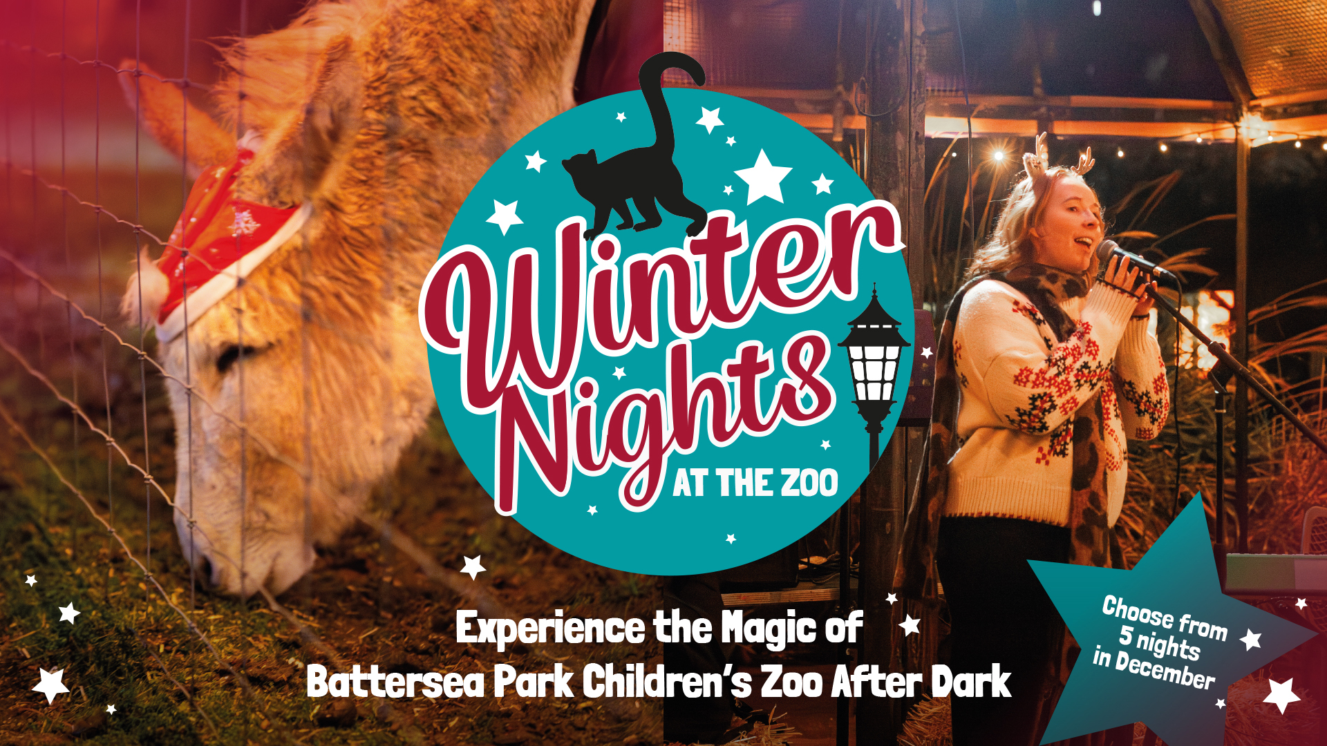 Winter Nights Website Banner 1920X1080