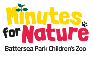 MFN Core Logo Lockup