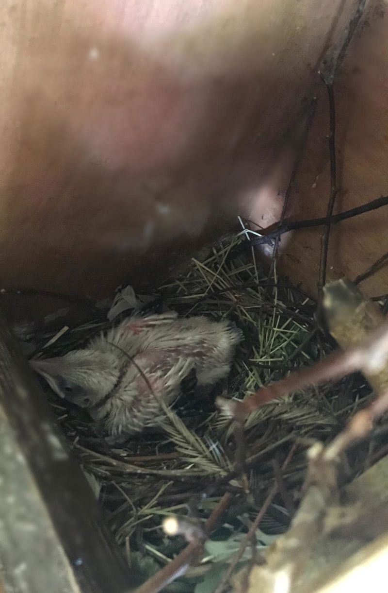 465866166 1093195089472620 2708548832581838148 N