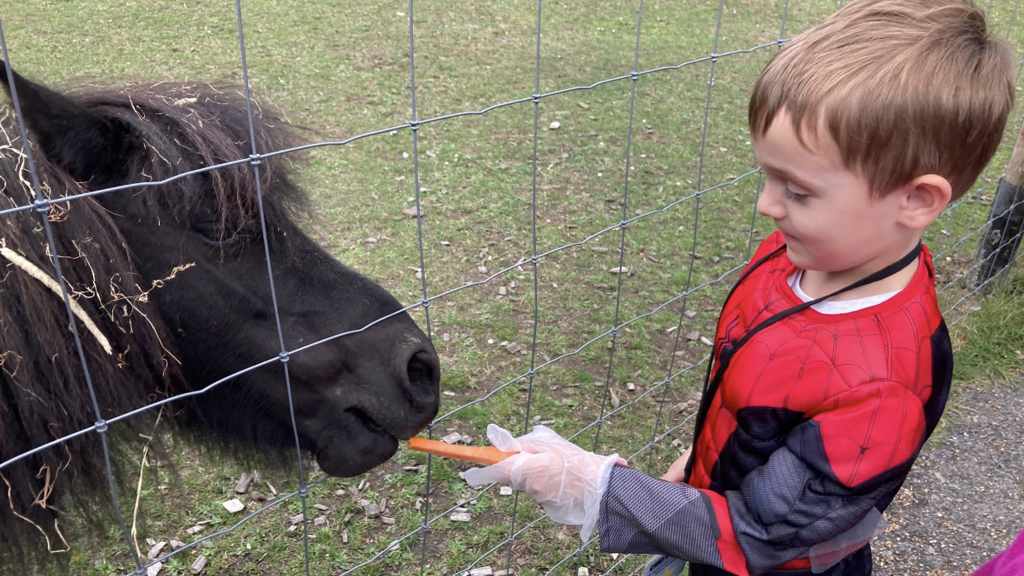 Battersea Park Children’s Zoo gallery image 1