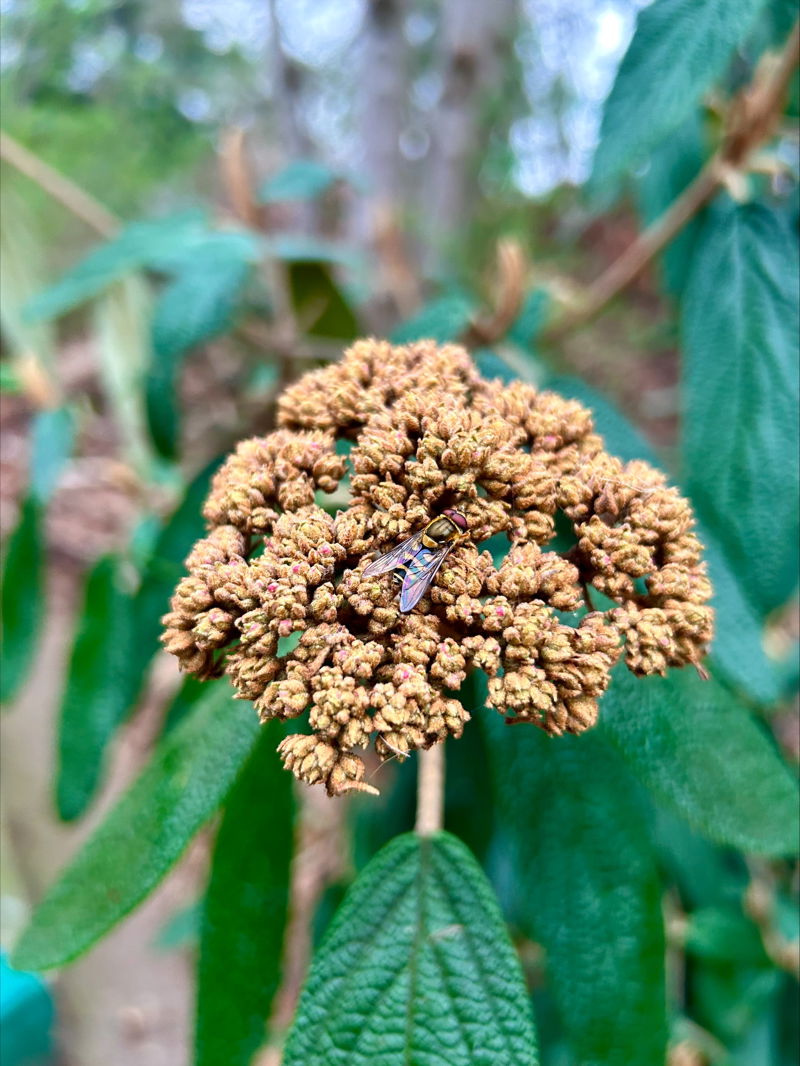 Processed 6E42A7D8 7717 4537 9CDA FB2852EC17C5