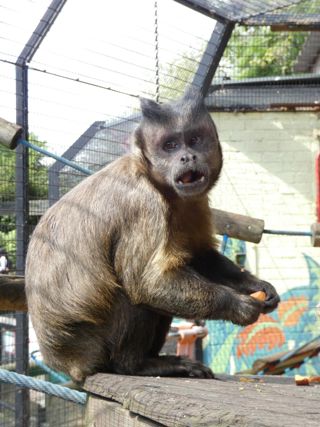 Image00018