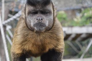 682Baf65 61A8 4C15 A81d Fd485061bdf2